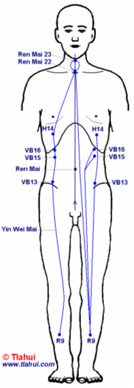 Yin Wei Mai